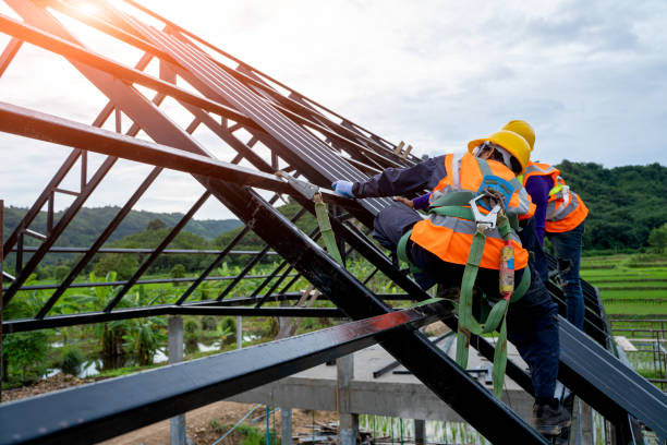 Best Metal Roofing Contractor  in Falmouth, VA