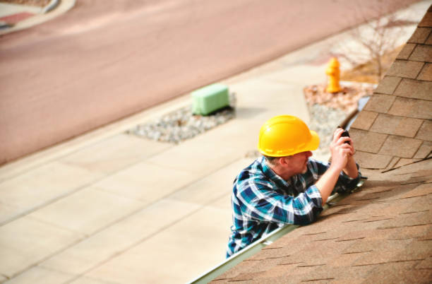 Best Roof Gutter Cleaning  in Falmouth, VA